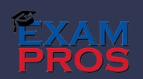 Globaltheexampros